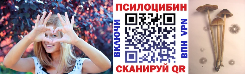 где продают наркотики  Ухта  Псилоцибиновые грибы Psilocybine cubensis 
